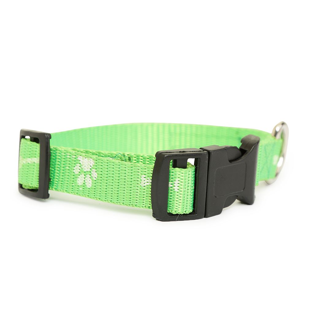 Fashion Classic Happy Green Dog Collar.