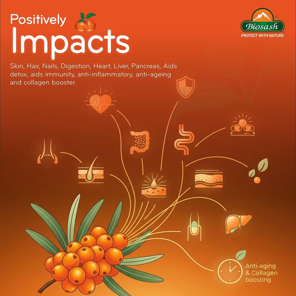 Biosash Sea Buckthorn Dry Berry Powder 100g view 2