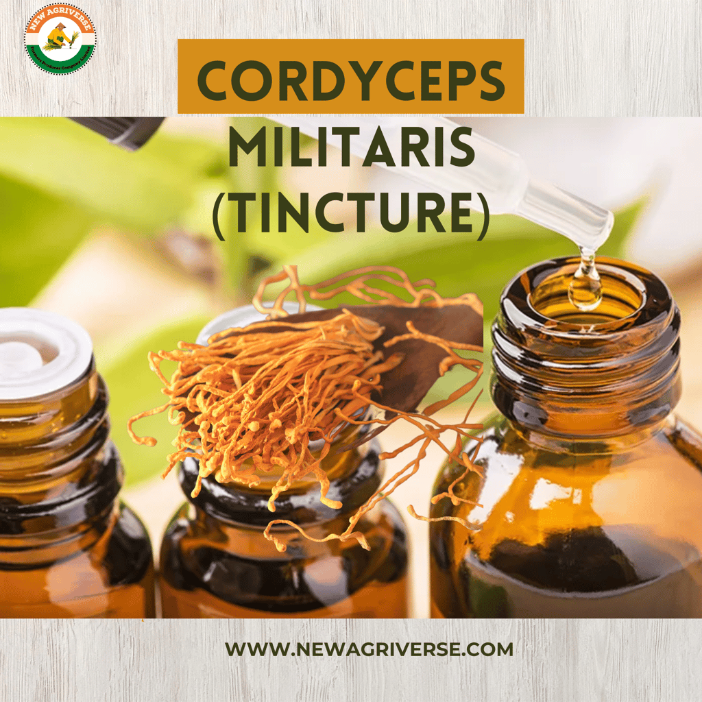 Cordyceps Mushroom Extract Tincture 30ml (60 Servings) view 2