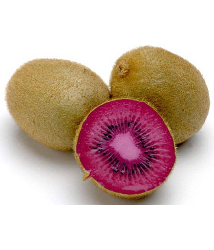 Kiwi Seeds - PINK LADY - Great Houseplant - Rare Tropical Fruit Seeds