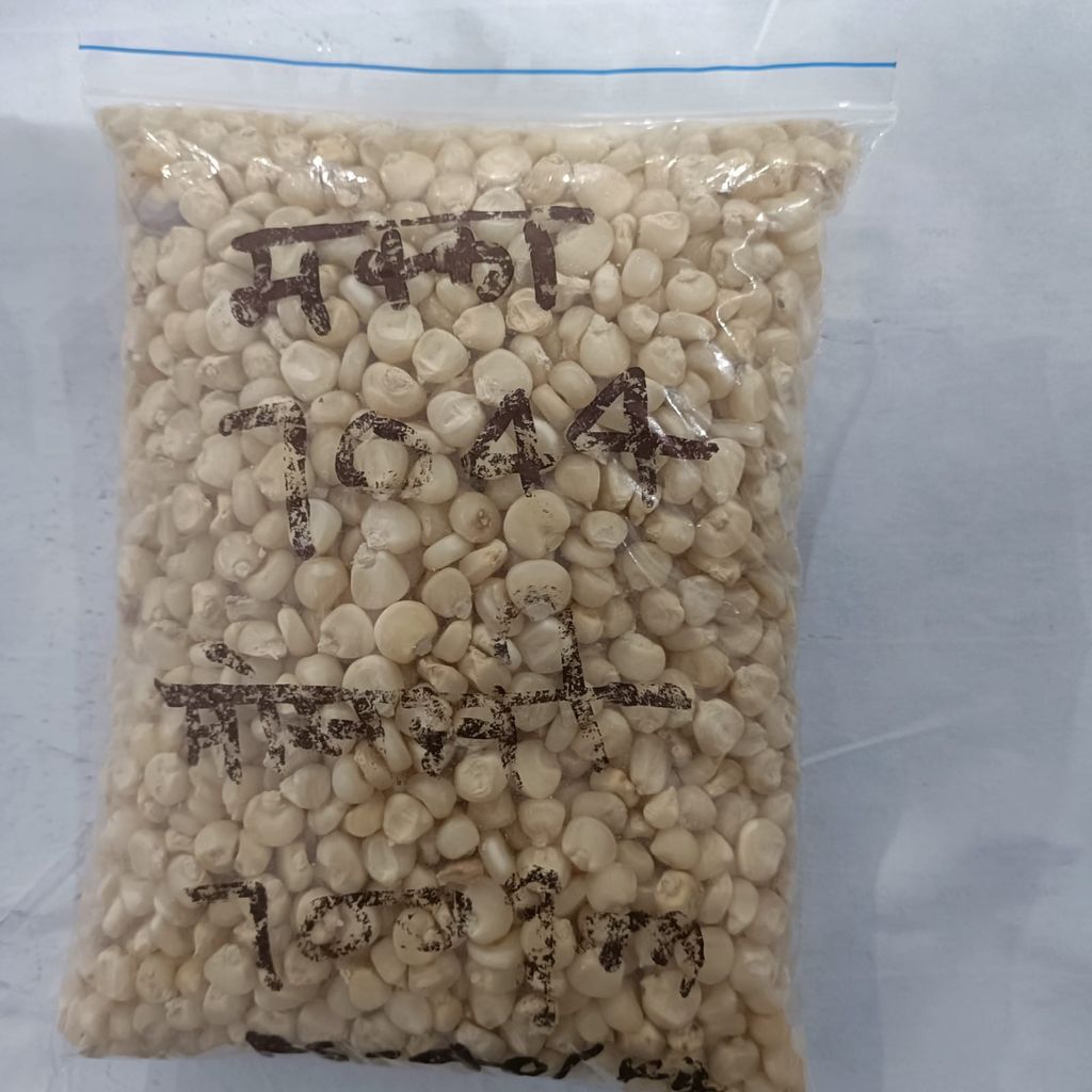 White Maize- 700 gm view 2