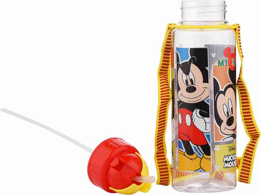 Ski Greece Mickey Mouse Printed Water Bottle For School Kids view 2