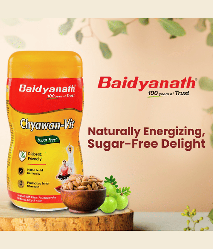 Baidyanath Sugarfree Chyawanprash- 1+1 KG (Pack of 2) view 2