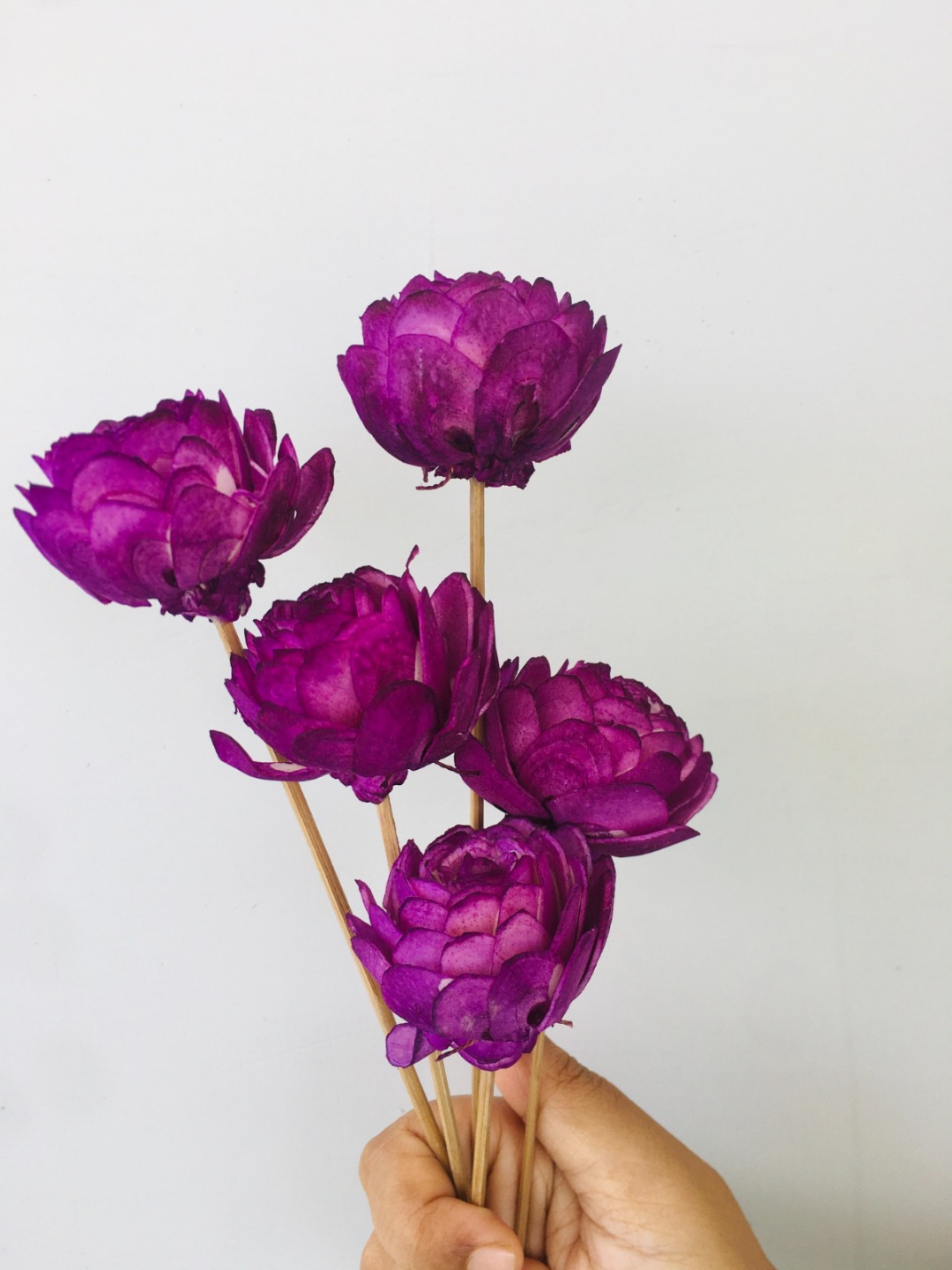 Ombre Mauve Sola Flower (5pcs) view 2