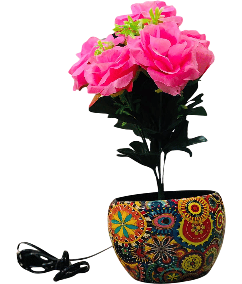 Vizio VIZIO SPY FLOWER POT Wi-Fi Others 1080 Camera view 2