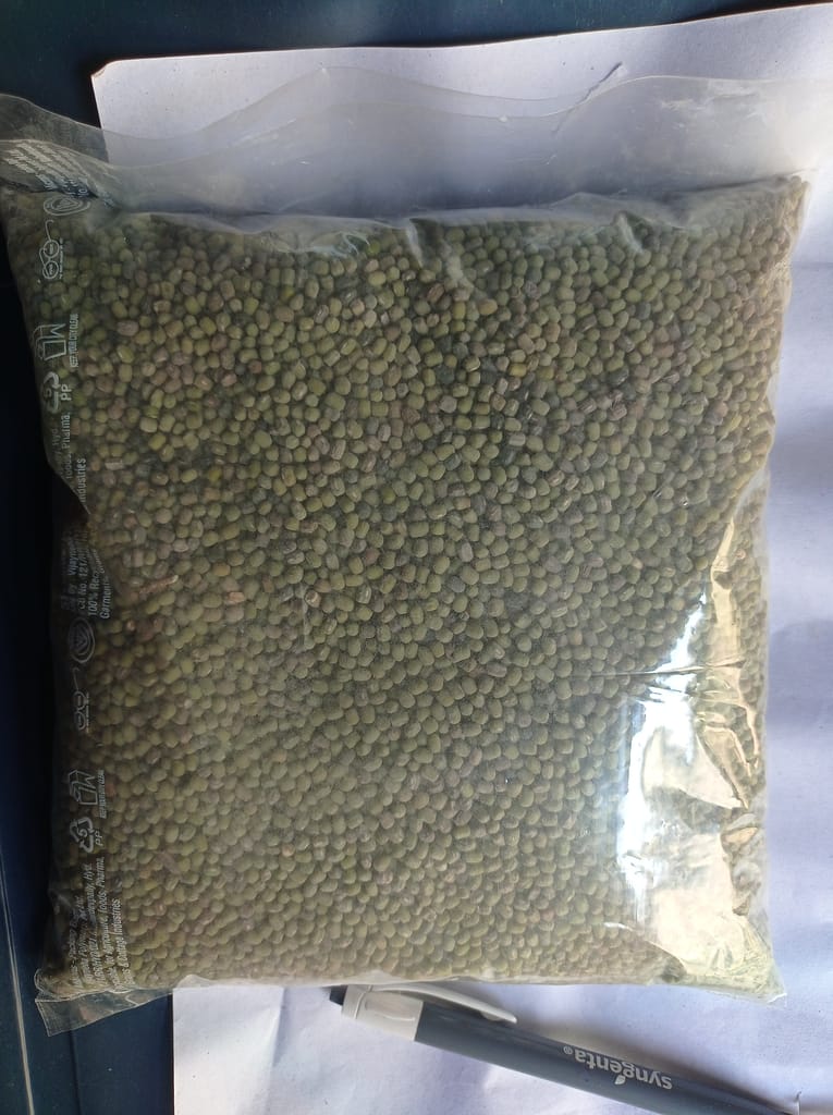 Green gram view 2