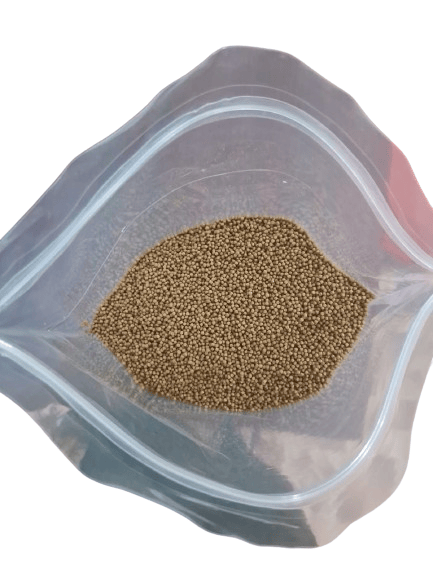 fish feed view 2