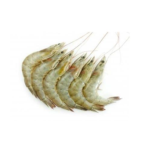Medium Prawns 1 kg