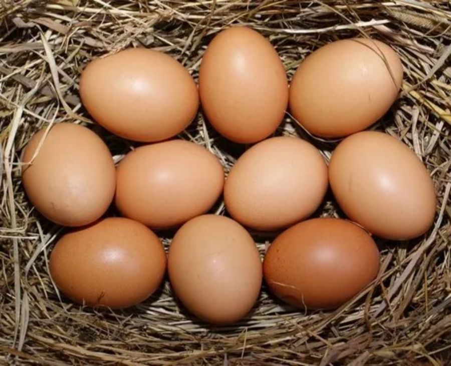 Farm Fresh Eggs - 100 gm - Single egg view 2