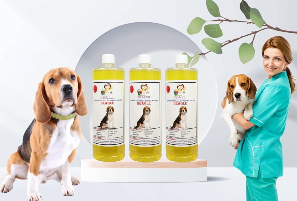 Swacch Shampoo Specially Formulated for Beagle (1 Litre) (Combo Pack of 3) Lemon view 2