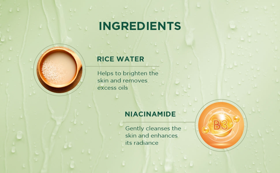 Biotique RIce Water & Niacinamide Gel Face Wash 100ml view 2