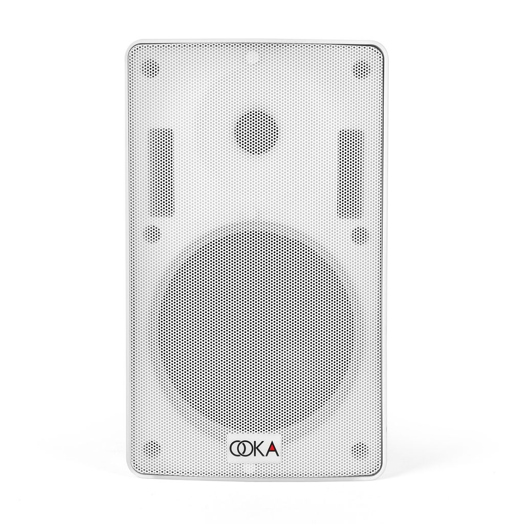 Ooka AUDiO i30w All-weather Wall-mount Speaker