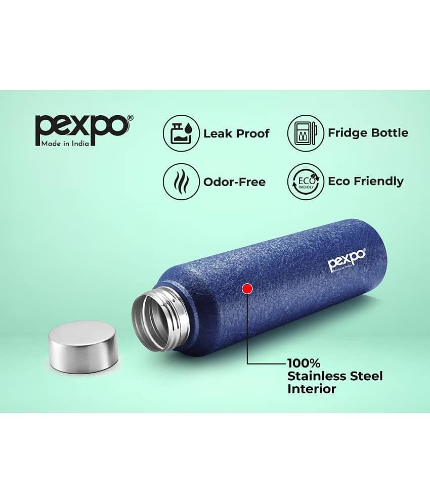 PEXPO 750 ml Stainless Steel Fridge Water Bottle (Set of 1, Red, Chromo) view 2