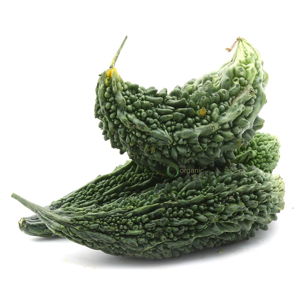 SS BITTER GOURD