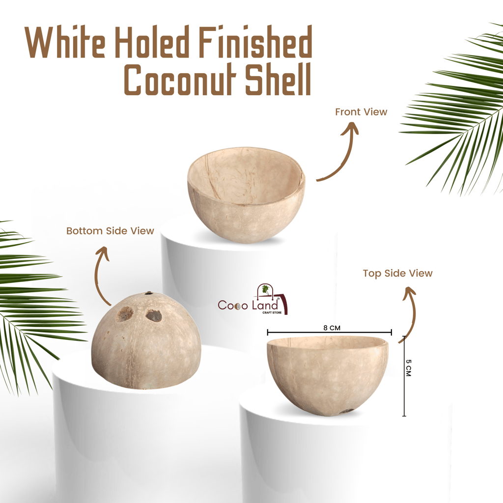 Coco Land White Holed Coconut Shell Finished Raw Craft | Decorative Pots,Craft Making | Handicraft,Agricraft view 2