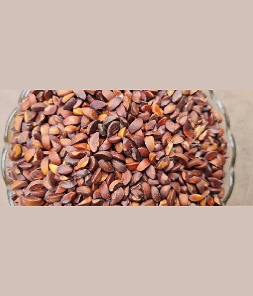 Amla Plant Seeds , Indian gooseberry ,Amalaka, Phyllanthus emblica,Nilli, Aonla Seeds Pack of 30 view 2