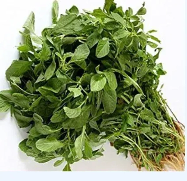 Amaranth Leaves - ( 1 Bunch )