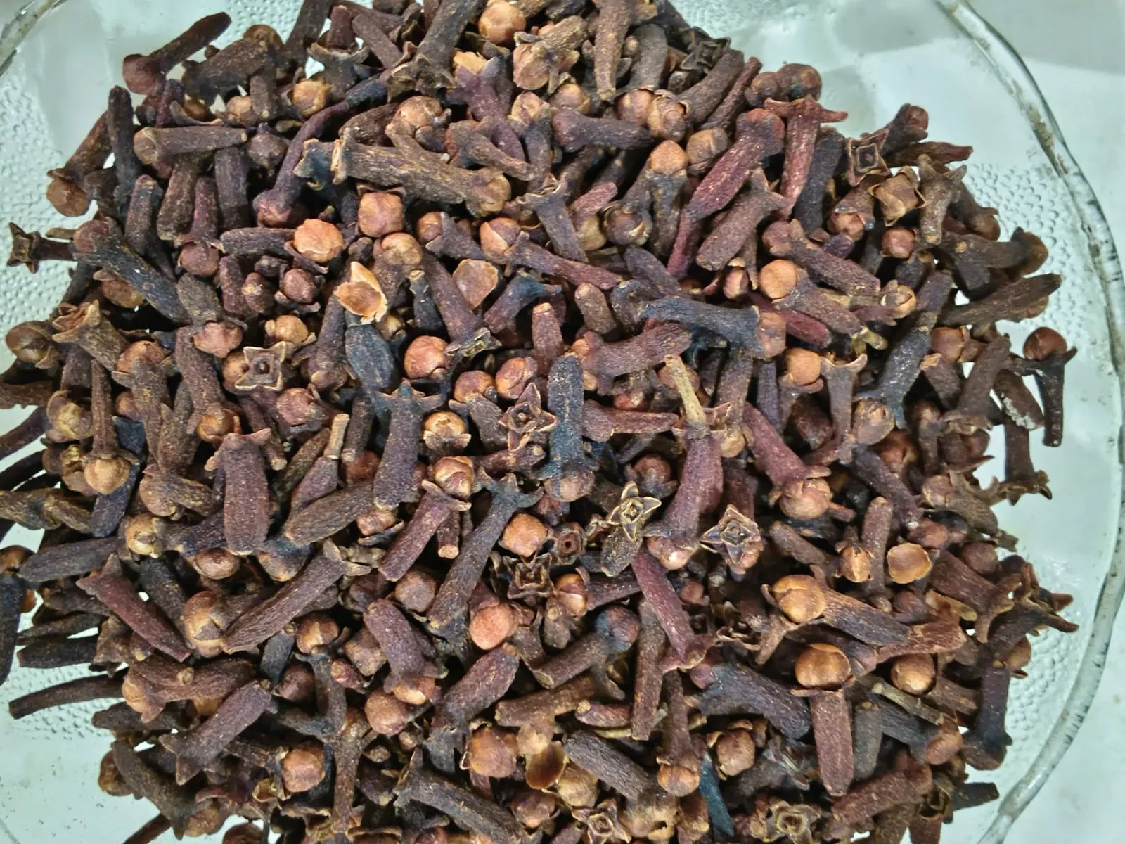 Clove (long)