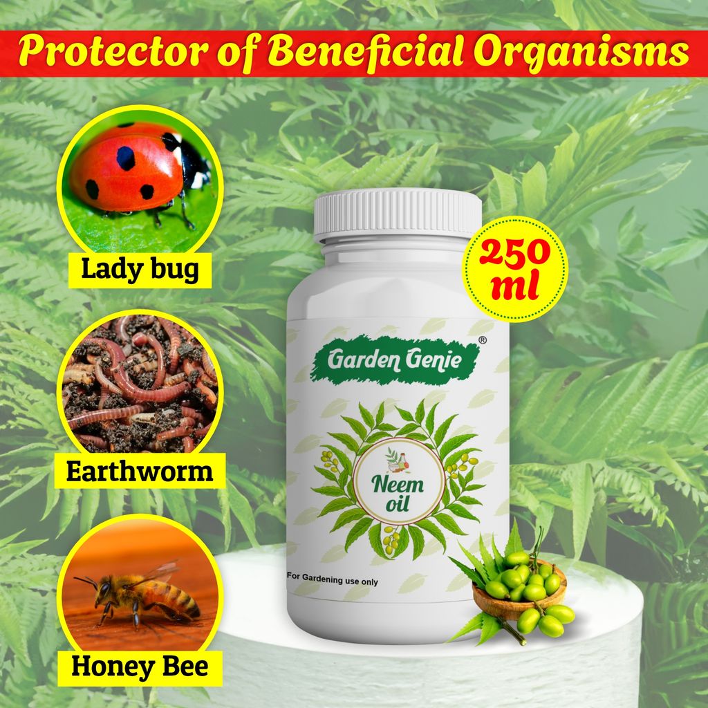 Garden Genie Neem Oil for Plants 250ml | Pure Organic Cold Pressed Water Soluble Concentrate, Makes up to 60 Litres of Ready to Use Spray view 2