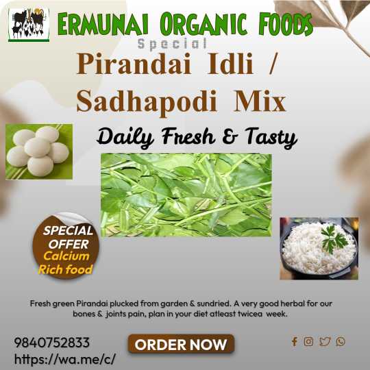 Pirandai Idli and Sadhapodi Mix 100 Gms view 2
