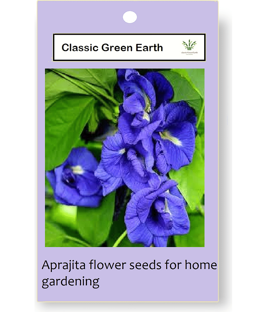 CLASSIC GREEN EARTH - Ipomoea Flower ( 60 Seeds ) view 2
