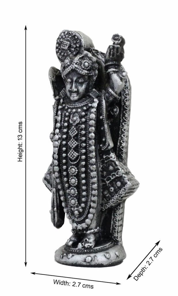 COPPERHOARD Silver Colour Resin Shreenath Ji Murti Idol Statue Beautiful Symbol of Love Trust Perfect for Puja & Gifting view 2