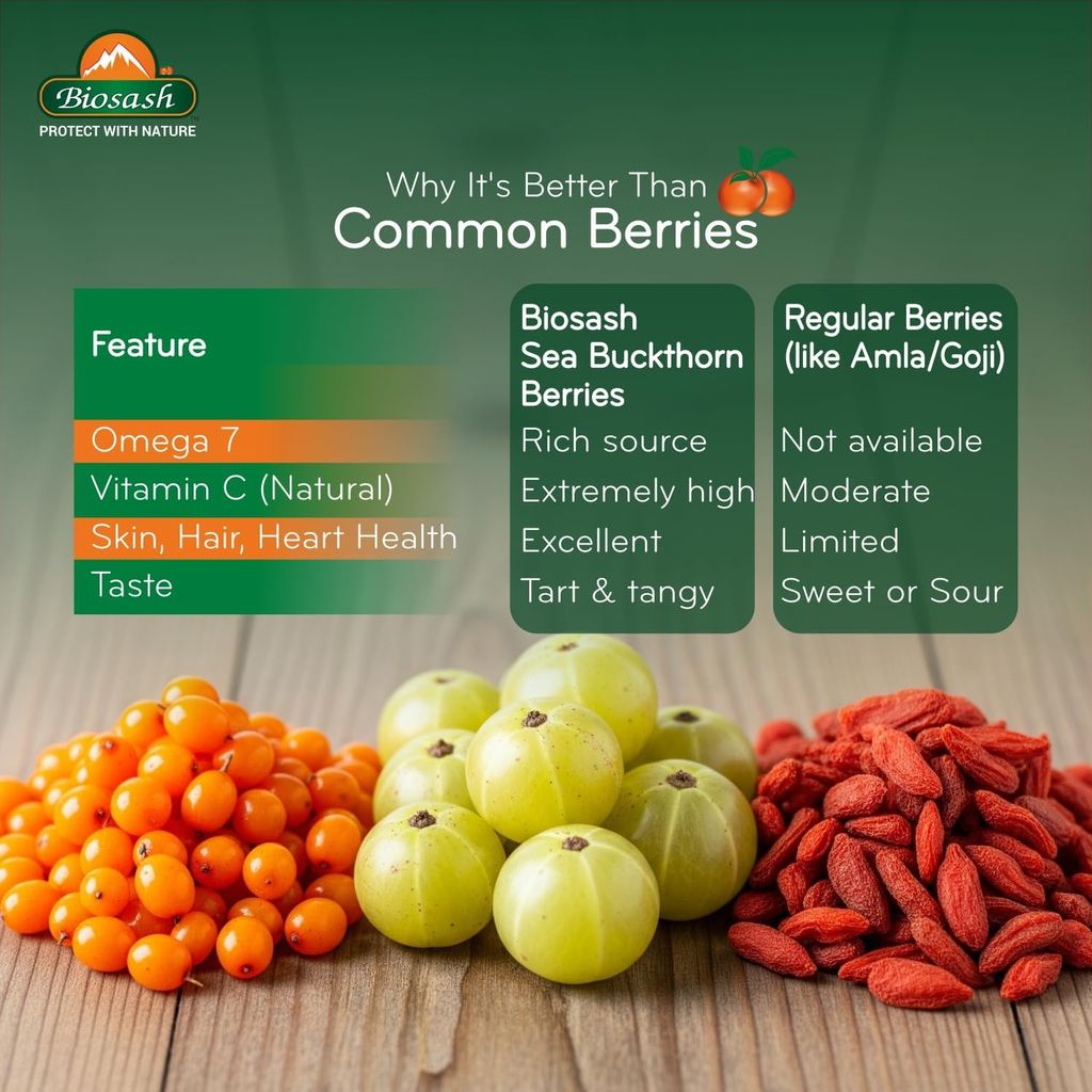 Biosash Sea Buckthorn Dry Berries 100g - Sun Dried Seabuckthorn Berries With Vitamins, Antioxidants, Natural Dried Sea Buckthorn Berry, Omega 3 6 7 & 9 | Helps in immunity, Heart, Liver health view 2