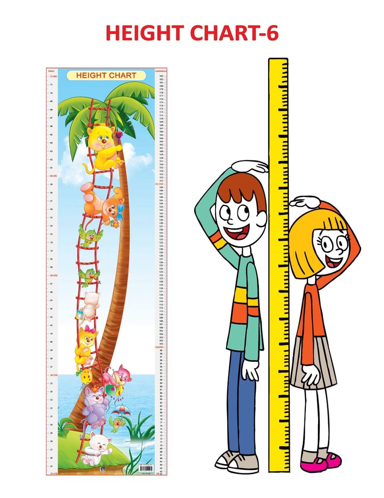 Height Chart 6 [Poster] Dreamland Publications view 2