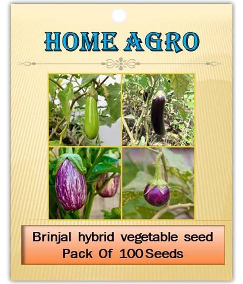 homeagro - Brinjal Vegetable ( 100 Seeds ) view 2