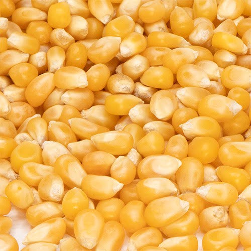 Millnuts - Popcorn |Solam view 2