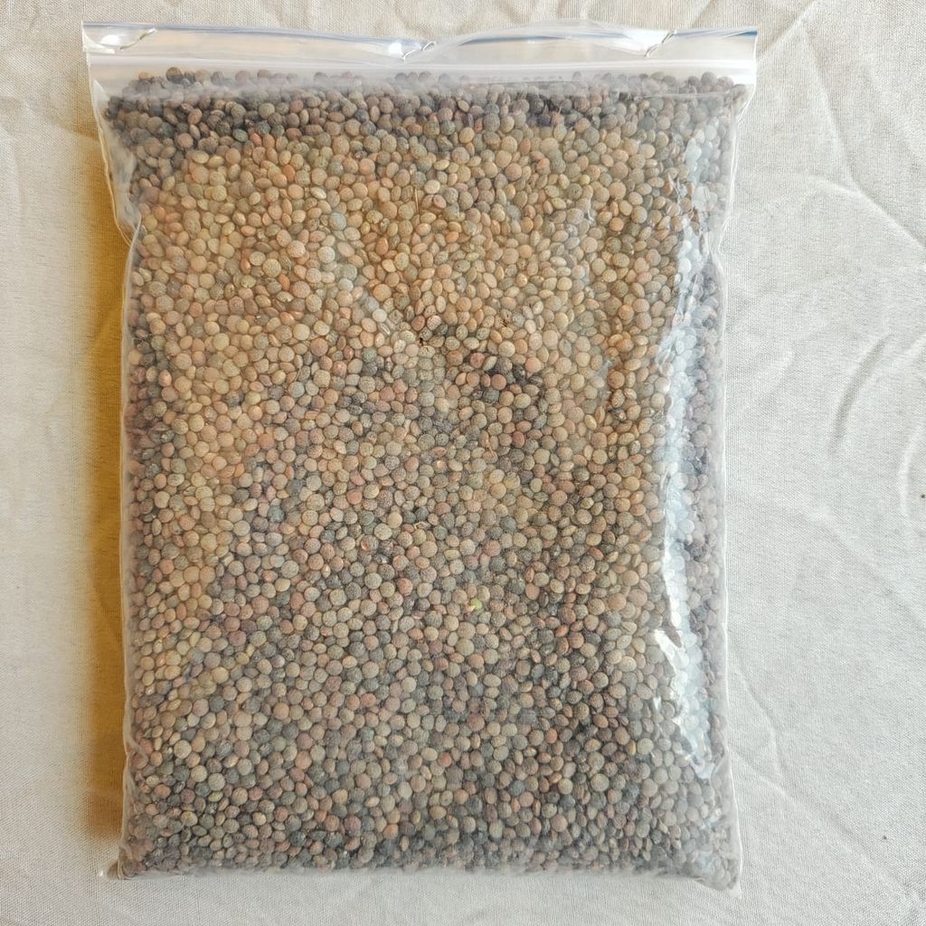 Masoor ( Khada ) 500gm view 2