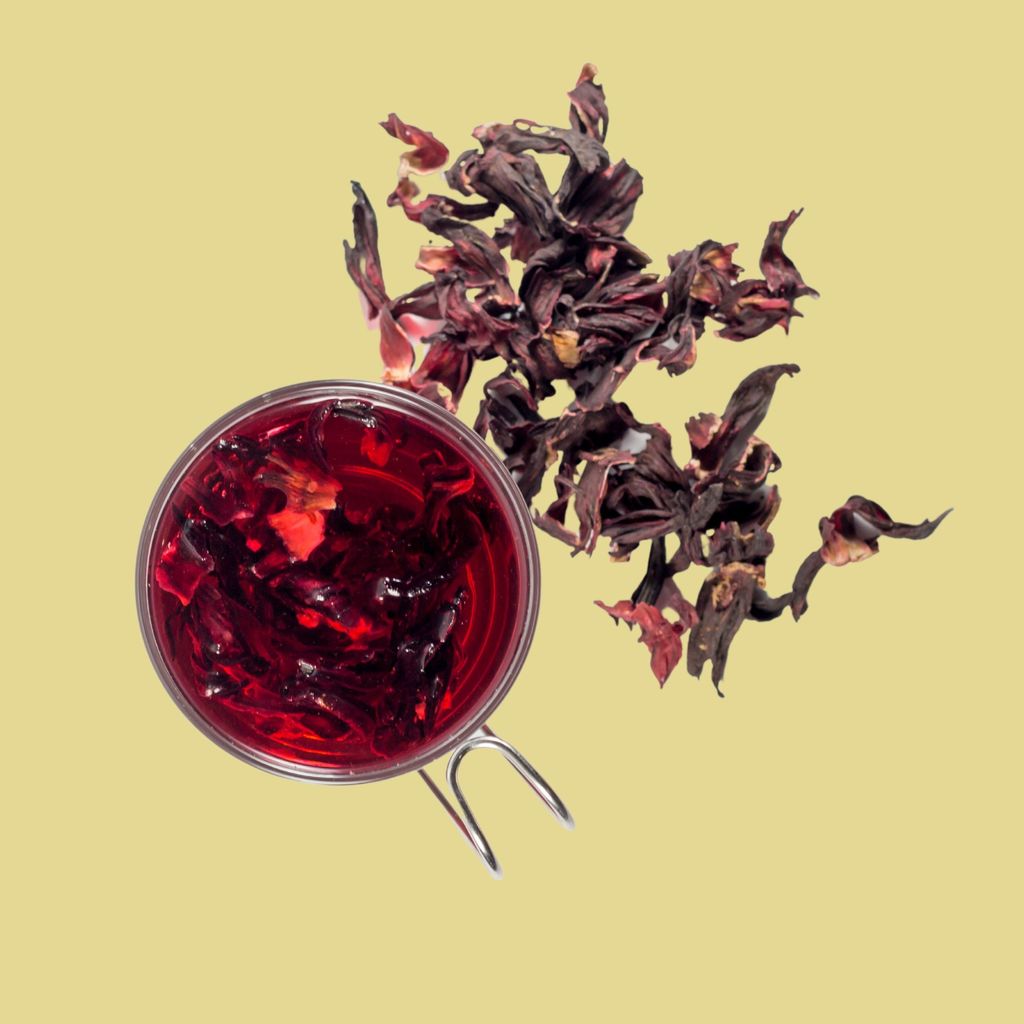 Himalayan Hibiscus-Rose view 2