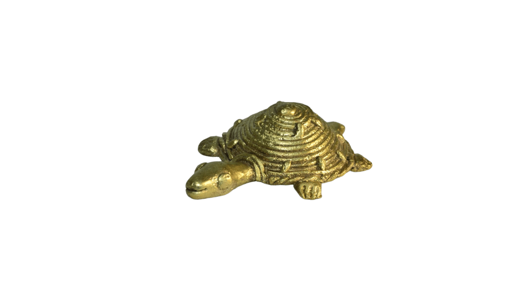 Jharcraft Tortoise (DK00699) view 2