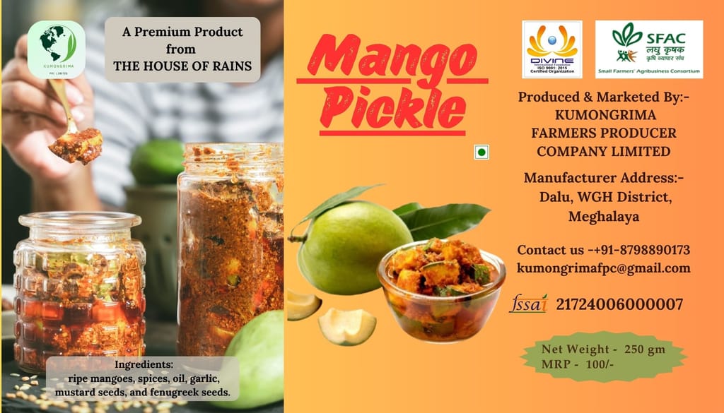 Mango Pickle & Jackfruit Pickle view 2