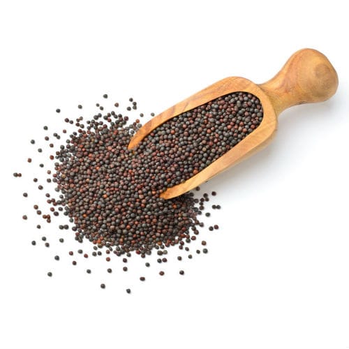 Black Mustard Seeds view 2