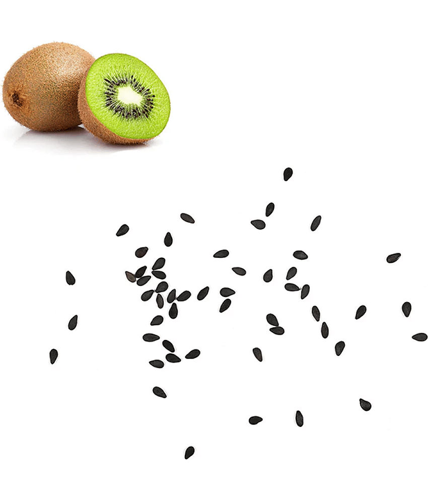 PARTHVA SEEDS Kiwi Fruit ( 30 Seeds ) view 2