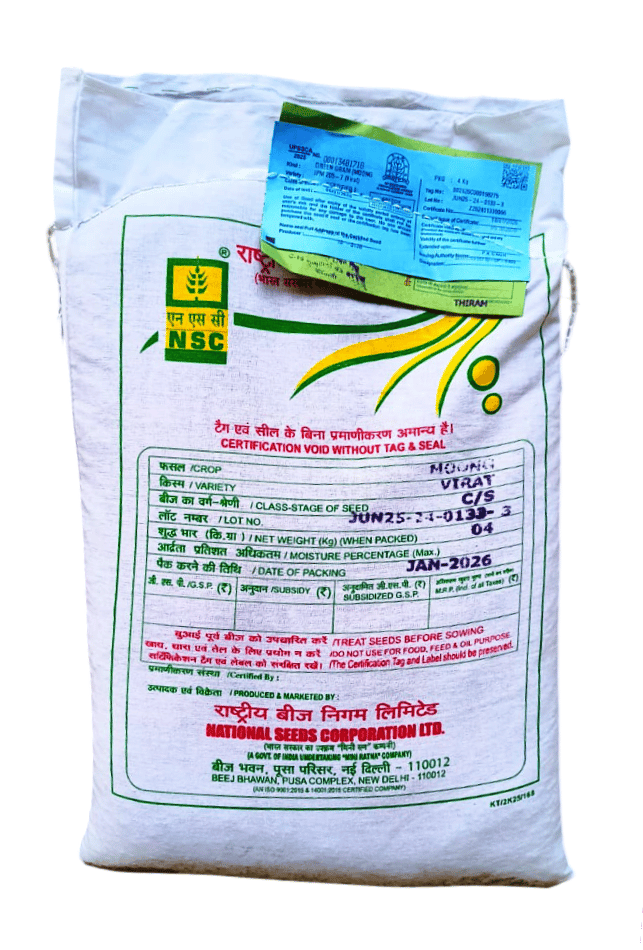NSC Moong Variety- IPM 205-7 (Virat) view 2