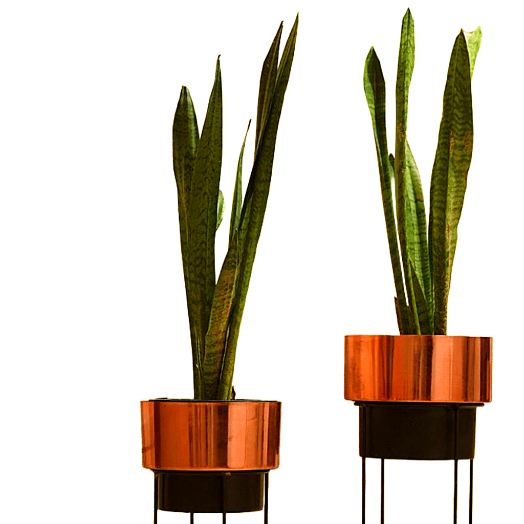 Metal planter view 2