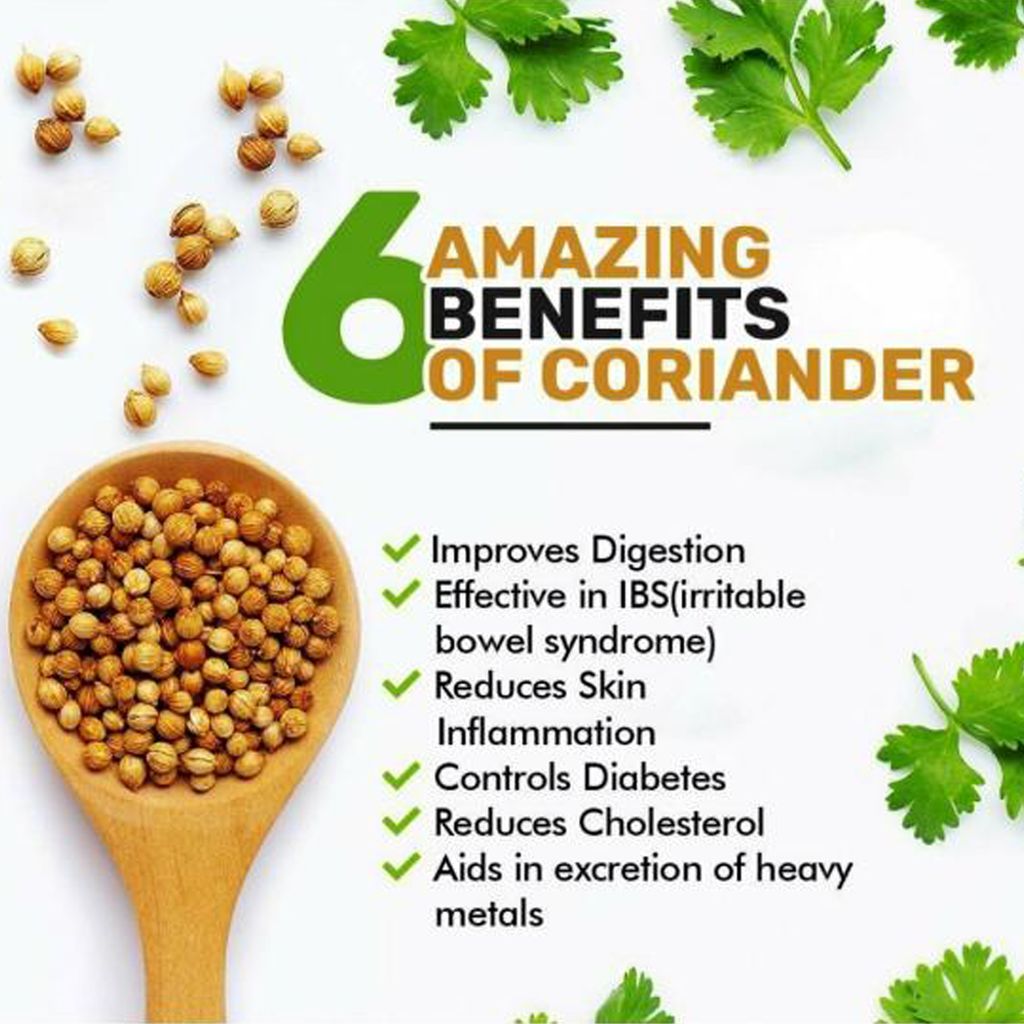 NEXTSTEP ORGANIC Premium Whole Coriander Seeds 250gm | Sabut Dhania / Dhaniya view 2