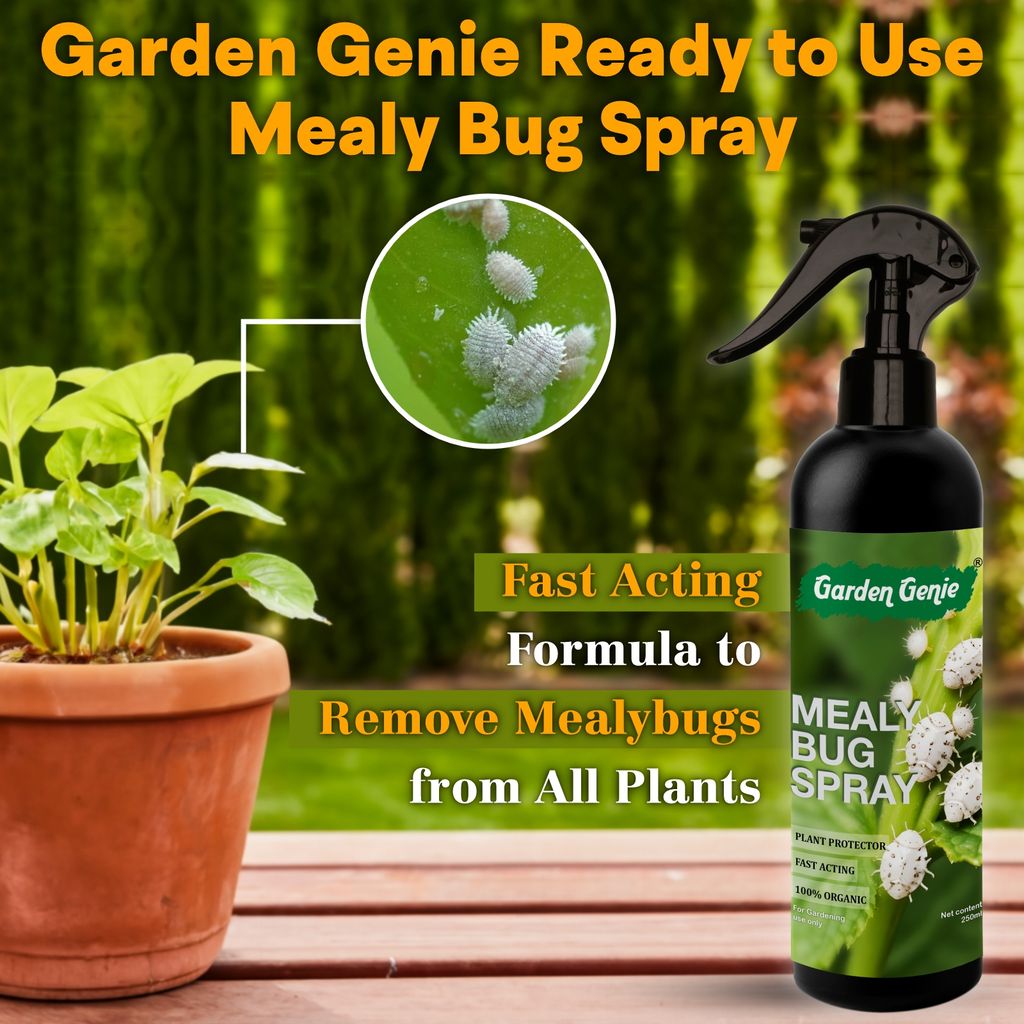Garden Genie Mealy Bug Killer Spray for Plants 250ml | 100% Natural White Bug Insecticide for Plants Home Garden | No Harmful Chemicals | Pet & Children Safe view 2