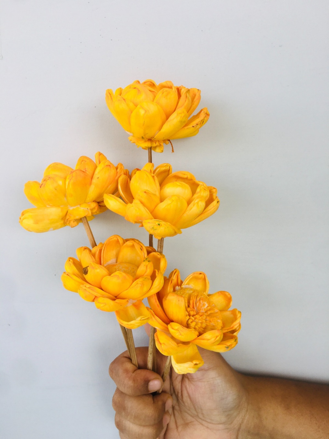 Marigold Yellow Sola Flower (5pcs) view 2