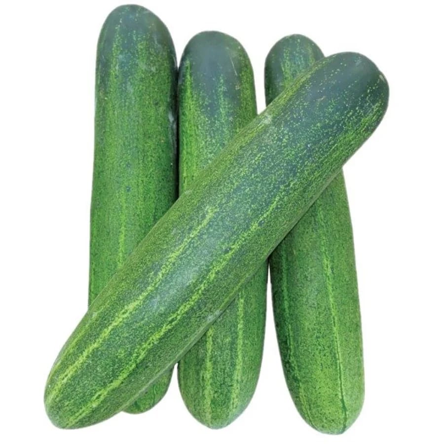cucumber hybrid view 2