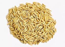 Basmati Paddy (1121 Variety) view 2