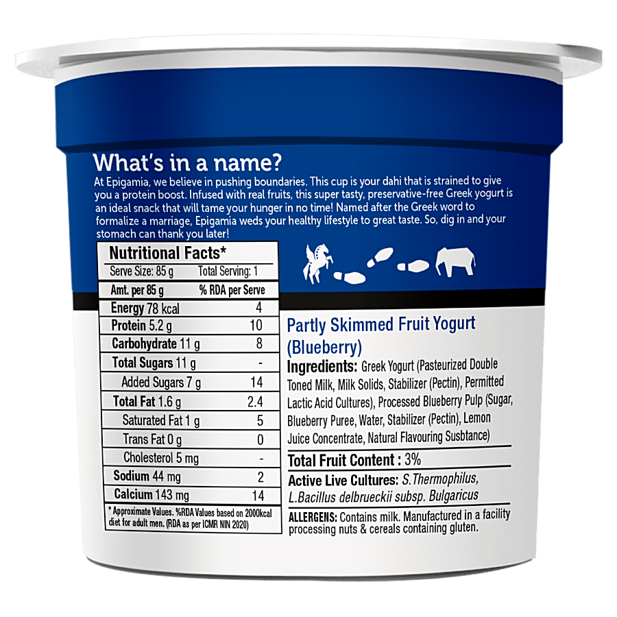 Epigamia Blueberry Yogurt, 90 Gm view 2
