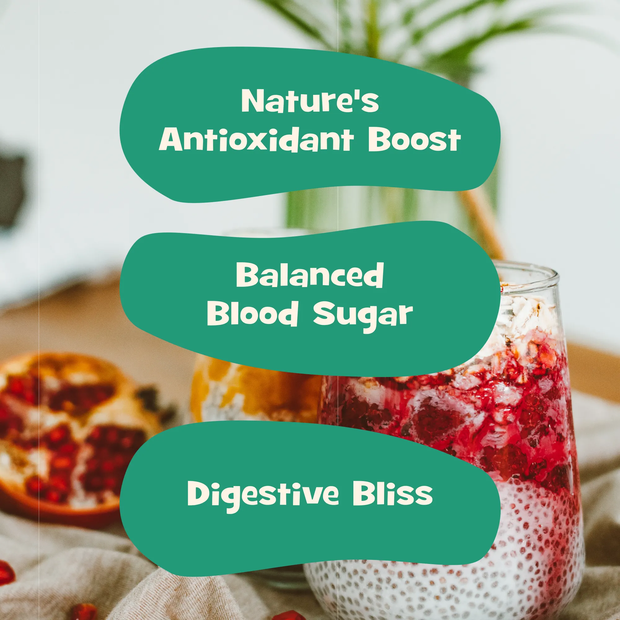 nourish you Raw Black Chia Seeds view 2
