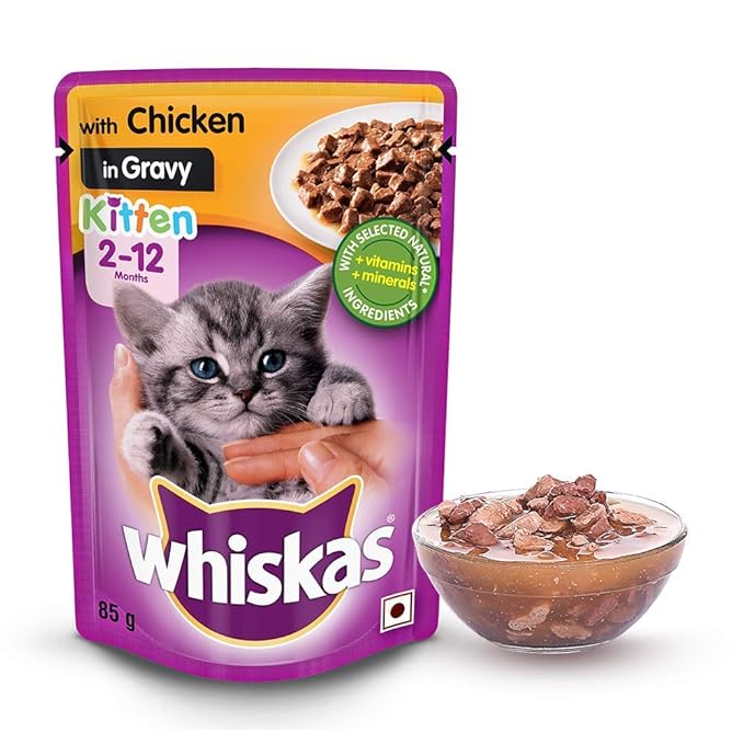 Whiskas Wet Food for Kittens (2-12 Months), Chicken in Gravy Flavour pack of 5 x 85 gms