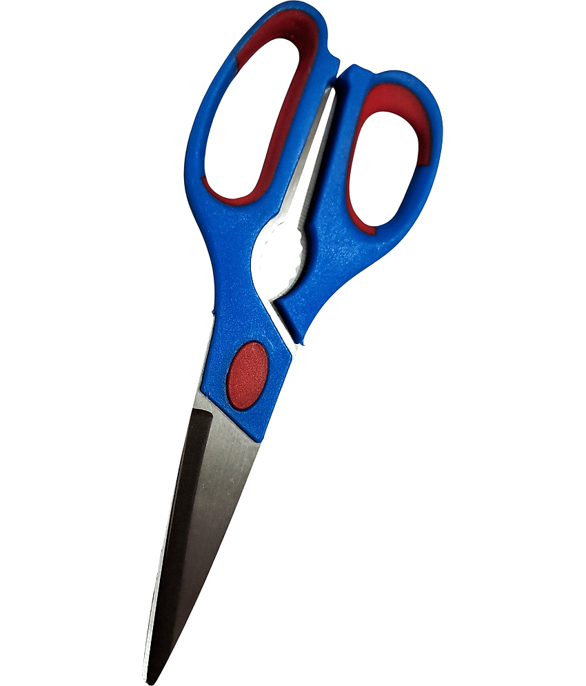 Cailyn Stainless Steel Multipurpose Scissors ( Pack of 1 ) view 2