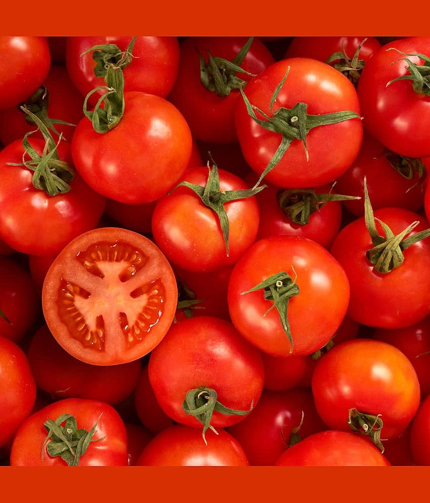 Tomato Vegetables Seeds - Pack of 50 Hybrid Seeds view 2