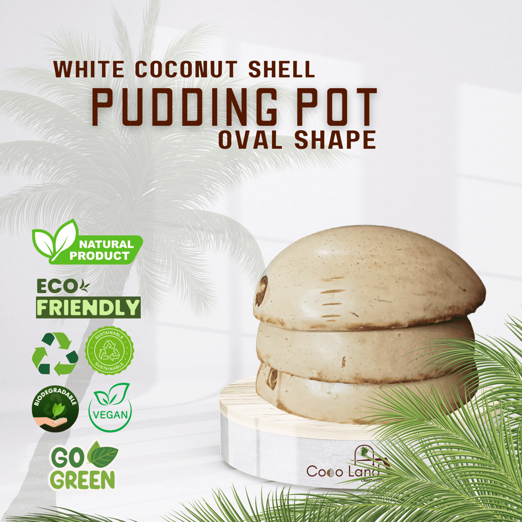 CocoLand Coconut Shell Pudding Pot Oval Shape (150-250 ml) M-L Size Coconut Oil Polished view 2