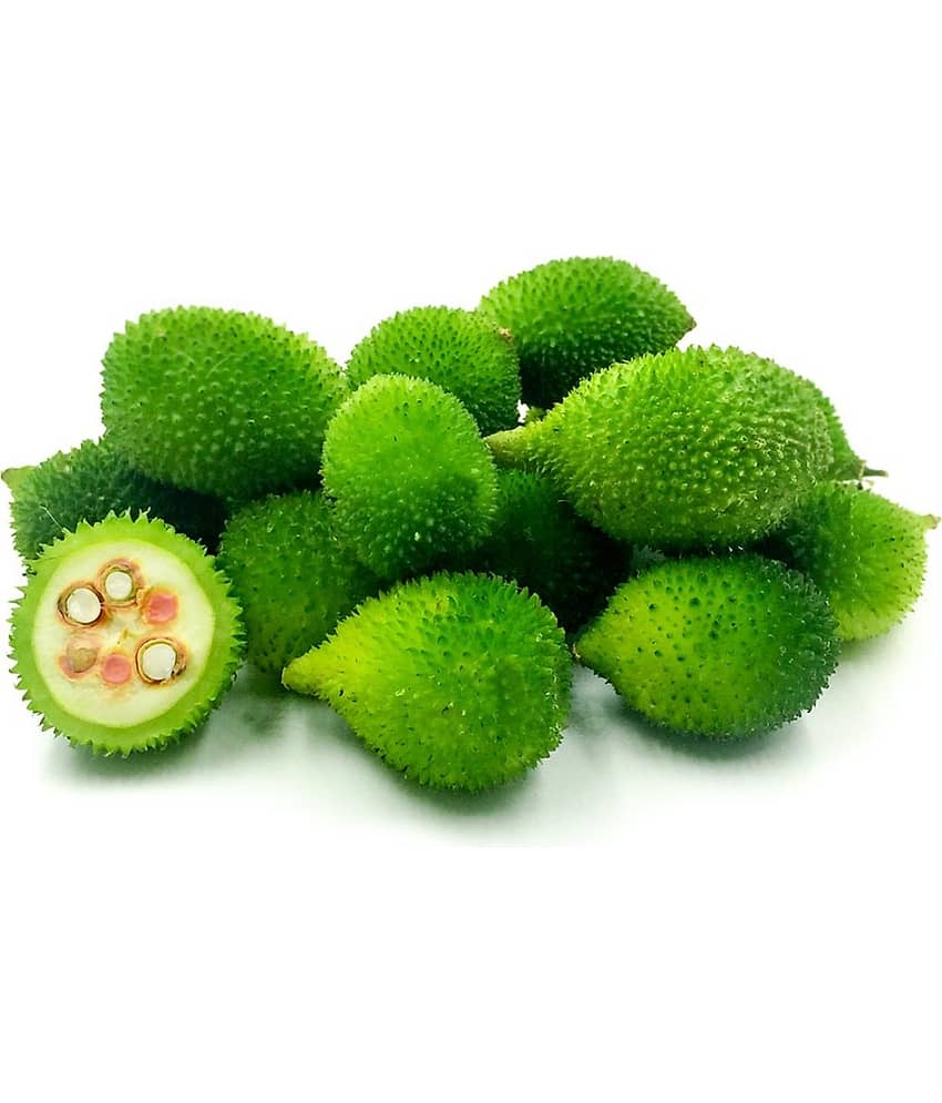 Kantola Seed (Teasle gourd) | Pack of 20 Seeds view 2